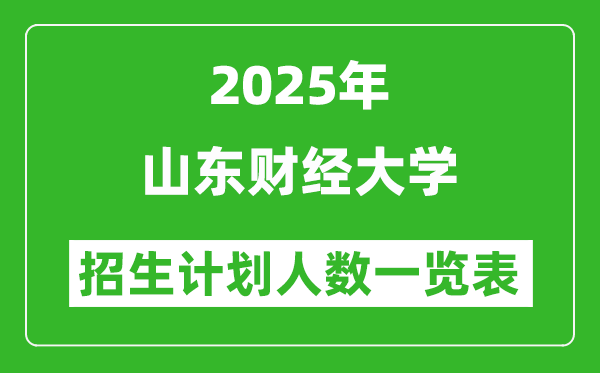2025年山東財經(jīng)大學(xué)在各省招生計劃人數(shù)一覽表