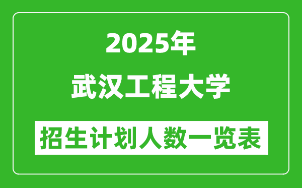 2025年武漢工程大學(xué)在各省招生計(jì)劃人數(shù)一覽表