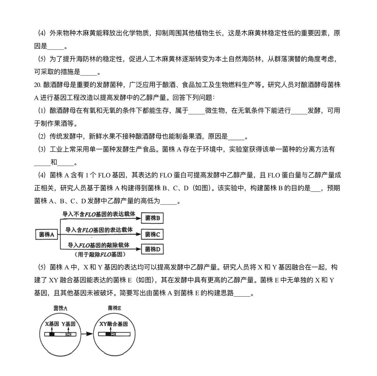 2025年海南高考生物試卷真題及答案解析(完整版)