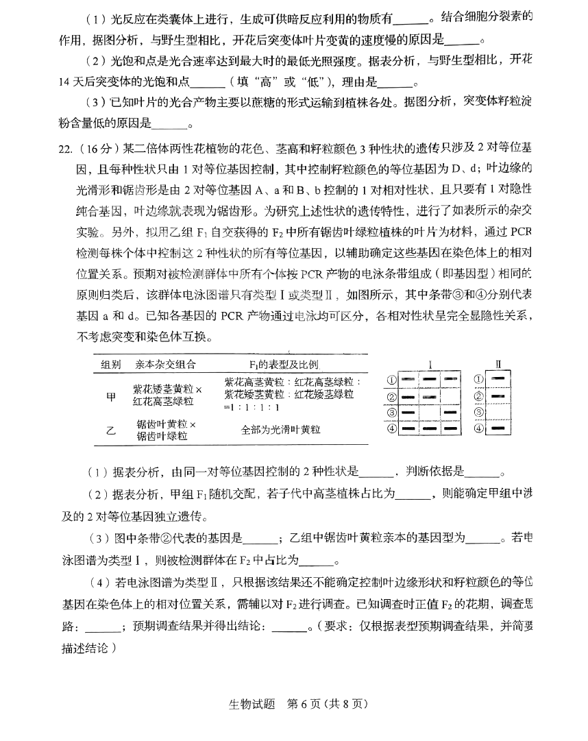 2025年山東高考生物試卷真題及答案解析(完整版)