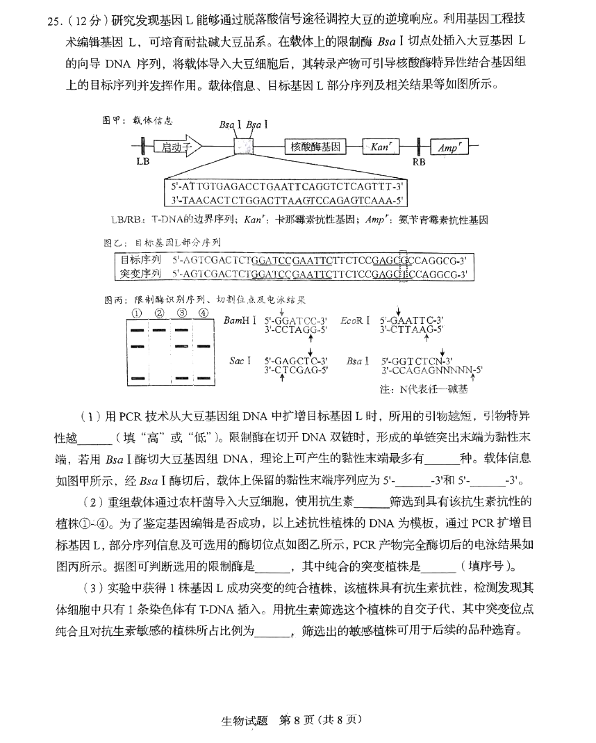 2025年山東高考生物試卷真題及答案解析(完整版)