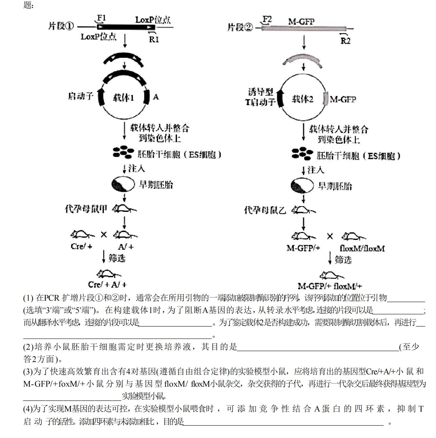 2025年廣西高考生物試卷真題及答案解析(完整版)