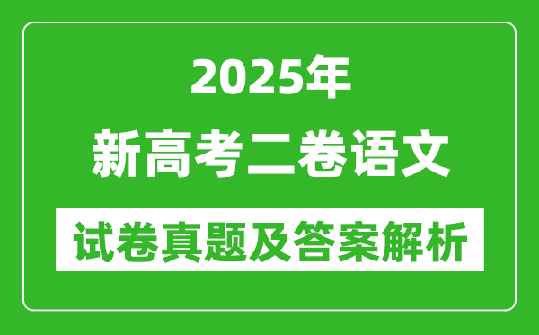 2025年新高考二卷語文試卷真題及答案解析(完整版)