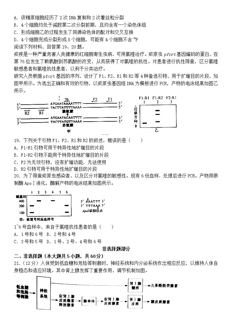2025年浙江高考生物試卷真題及答案解析(完整版)