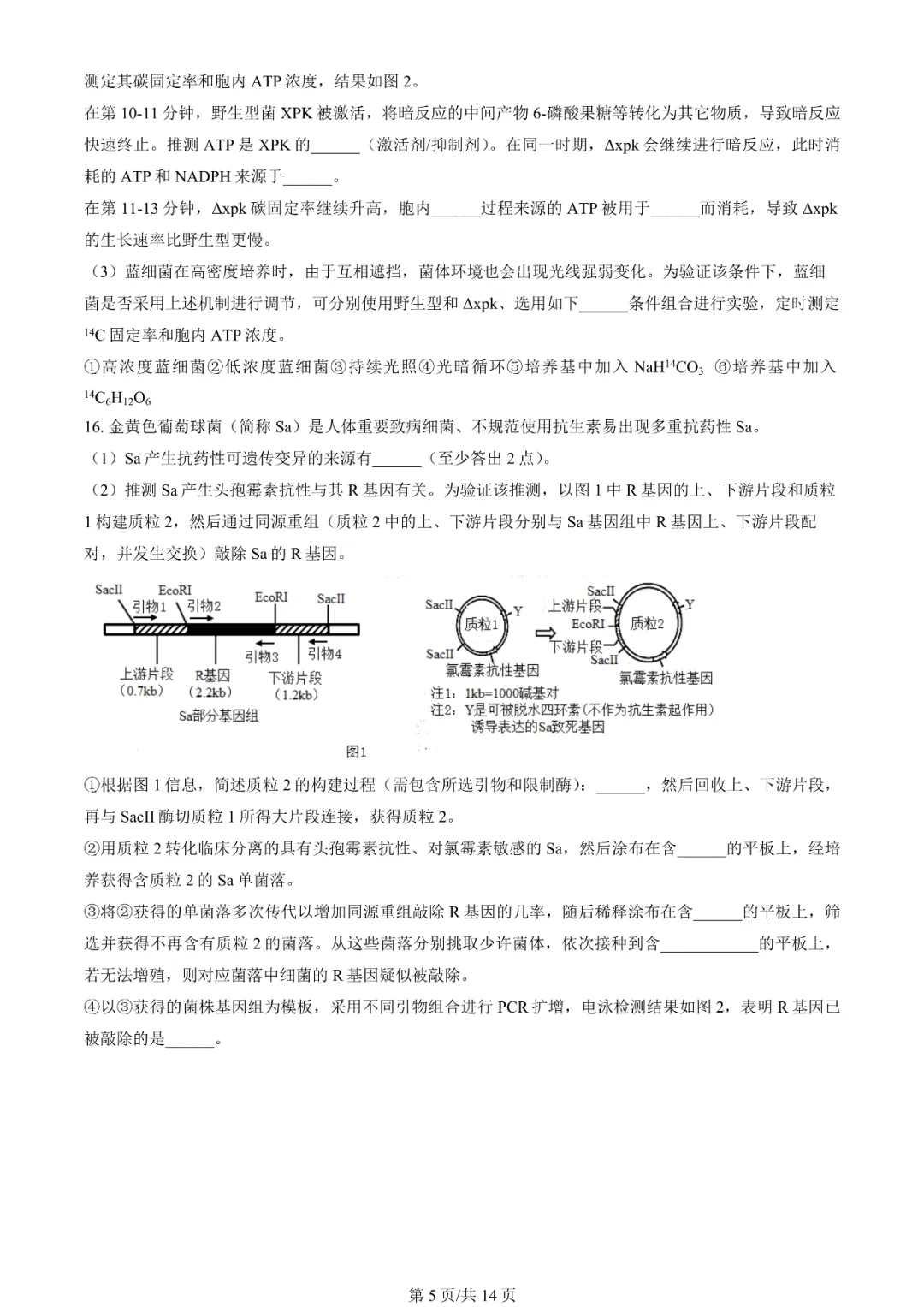 2025年天津高考生物試卷真題及答案解析(完整版)